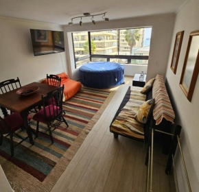 Viña bonito apartment a pasos del Mar con jacuzzi